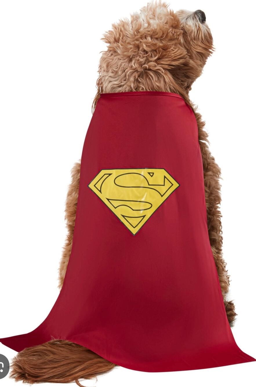 Superman Costume red cape for Dogs pets Halloween medium heroic superhero hero